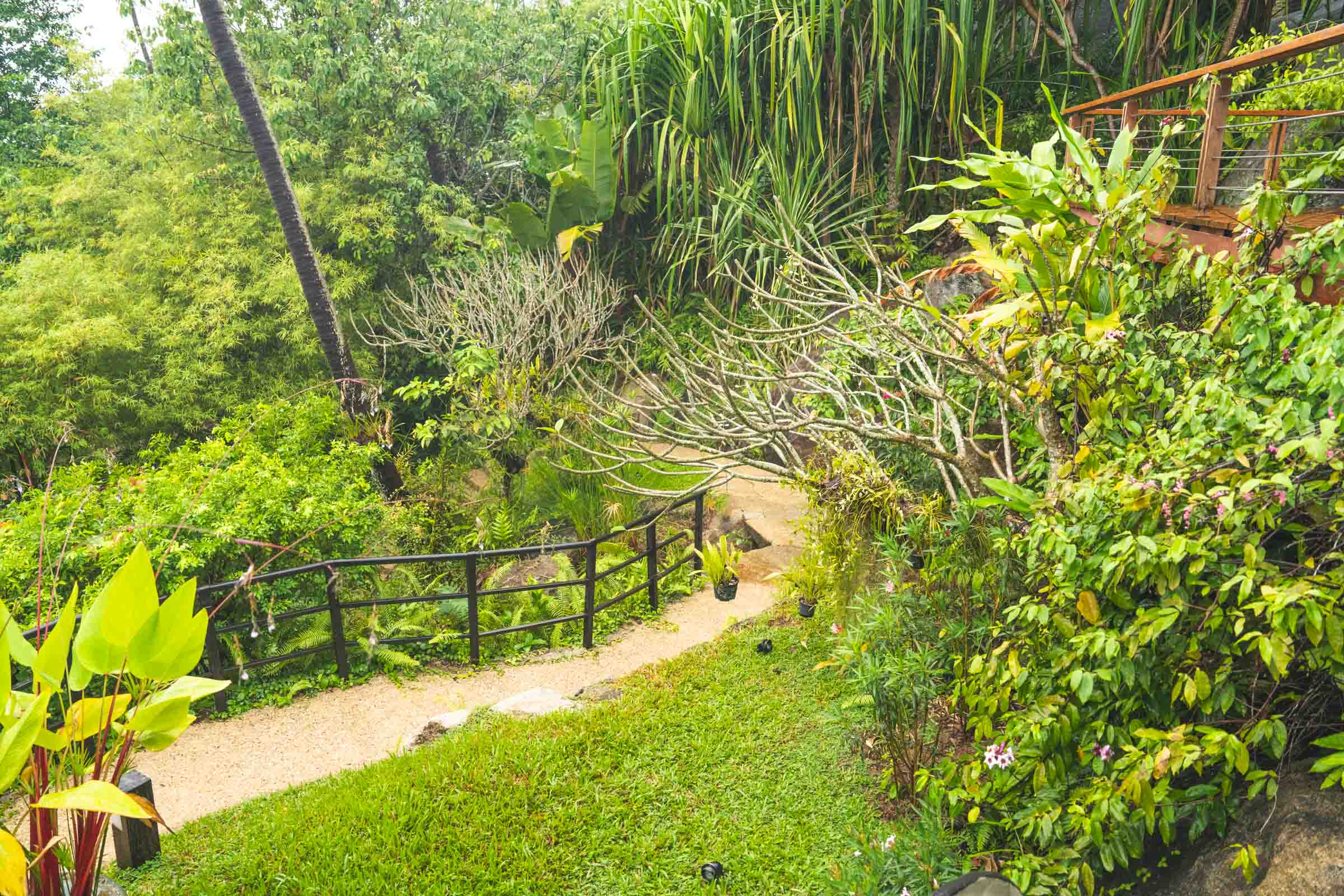 Garden nature